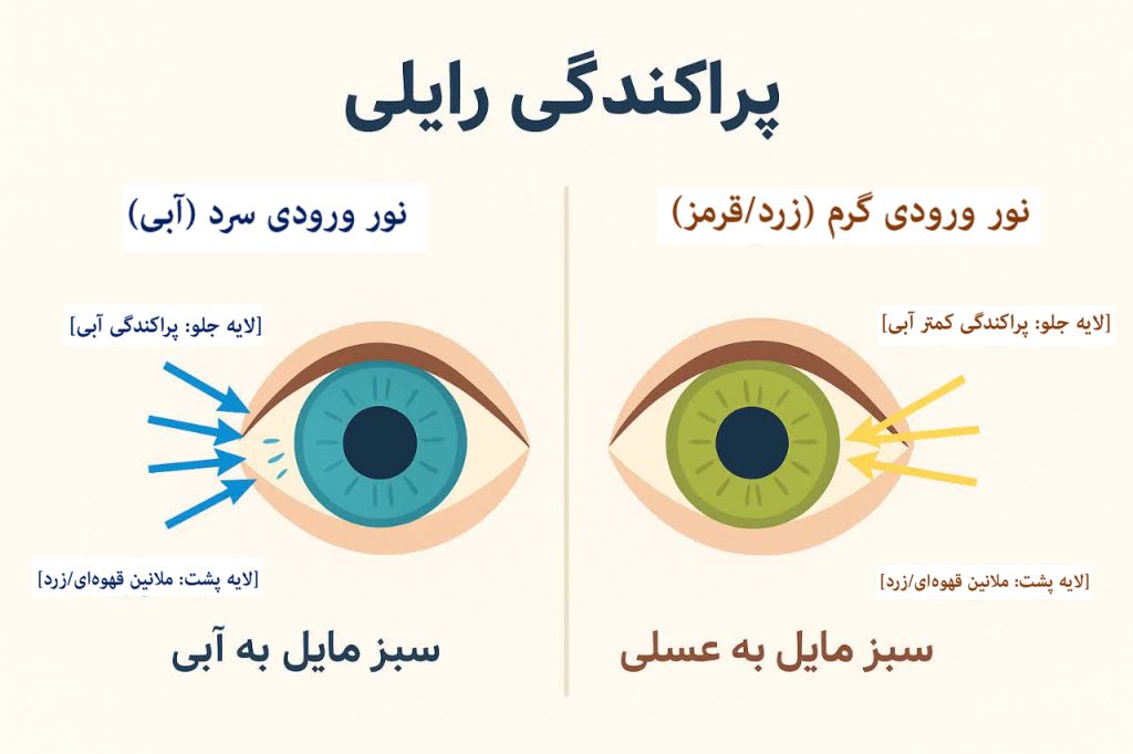 پراکندگی رایلی در چشم سبز